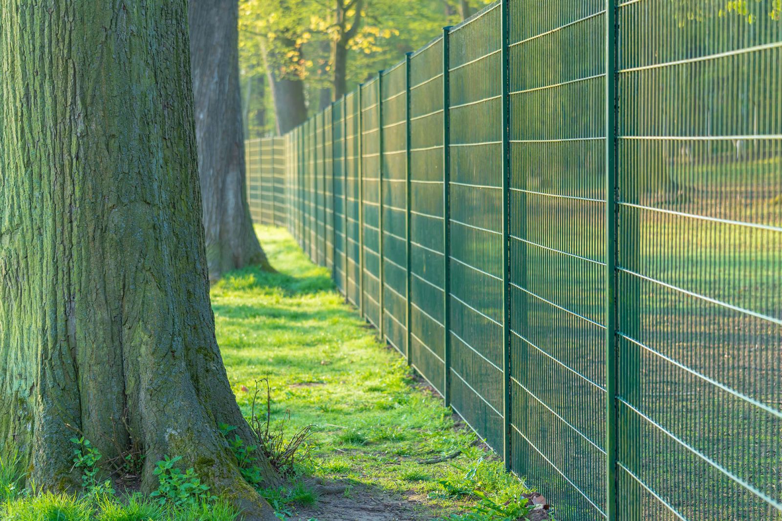 Outdoor Perimeter Alarm System Perimeter Security Systems